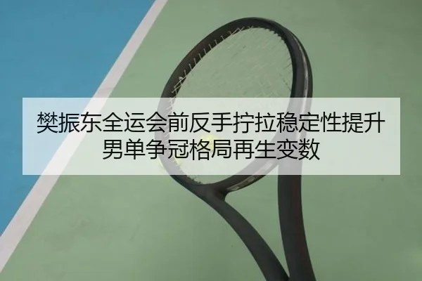 樊振东全运会前反手拧拉稳定性提升 男单争冠格局再生变数